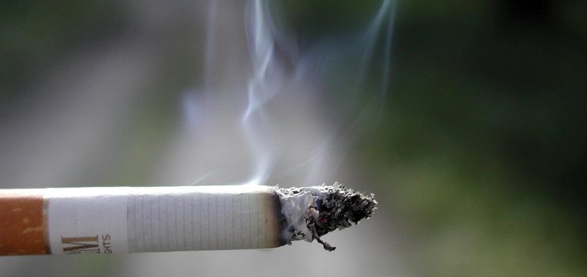 Tobacco's Name Stained By Negligent Cigarette Companies