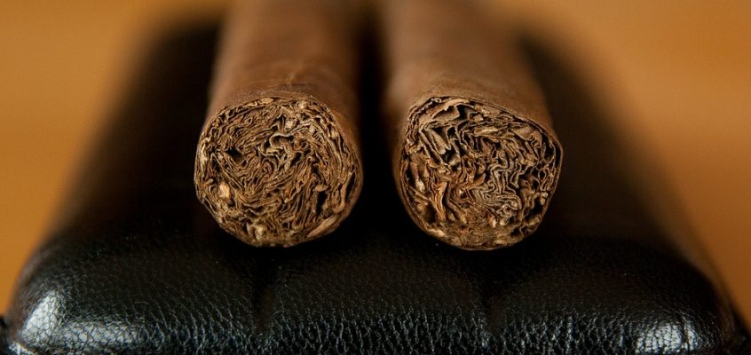 two cigars- buy wholesale tobacco
